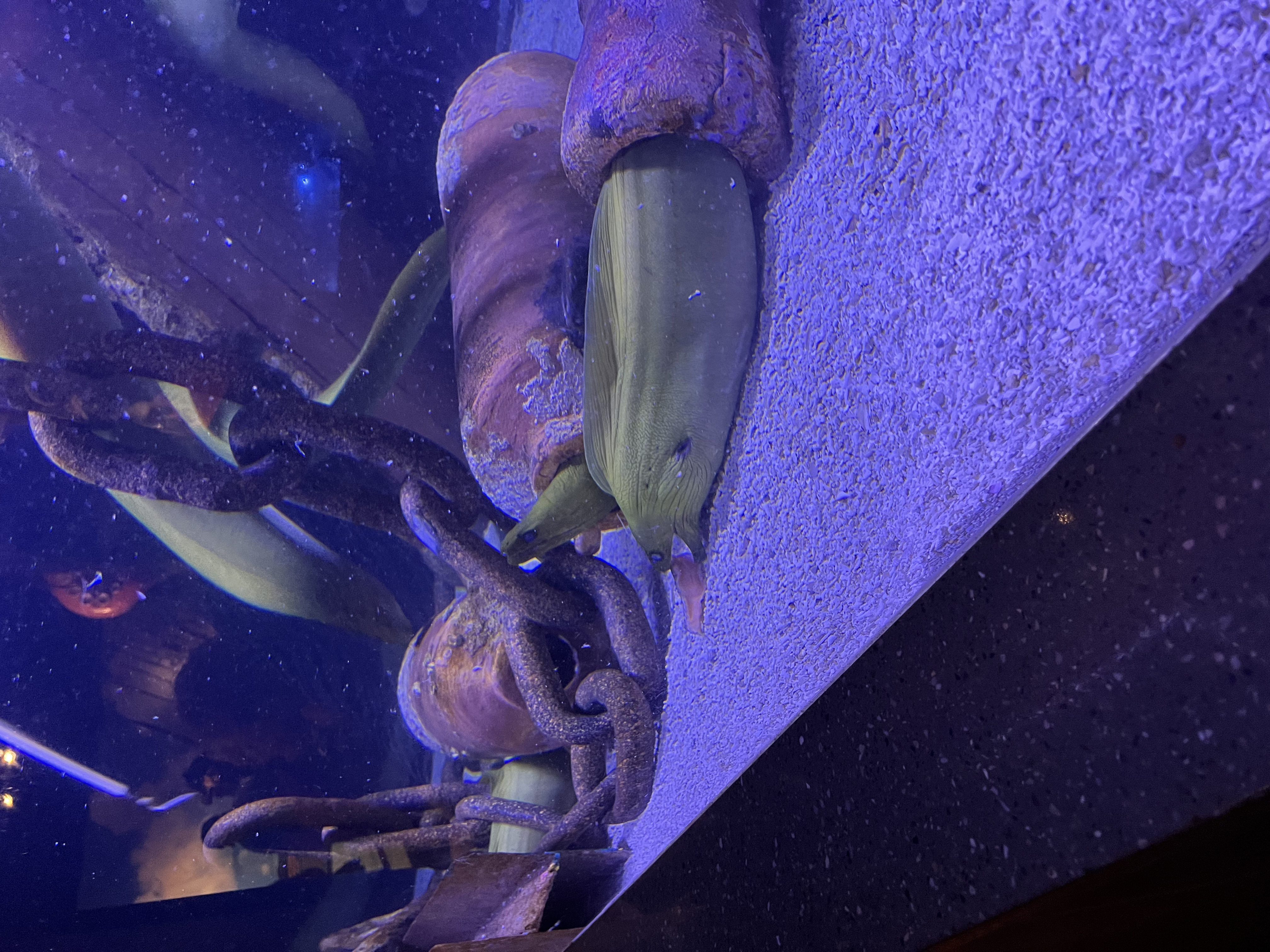 ./2024/10 - Myrtle Beach/IMG_3155.jpg